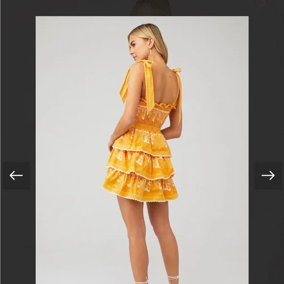 Cleobella Eliana Mini Dress Coastal Print Yellow Tiered Boho Size Small - Picture 4 of 6